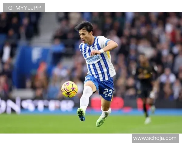 2017年狼队与布莱顿激战回顾精彩瞬间与战术分析 2017年狼队与布莱顿激战回顾精彩瞬间与战术分析