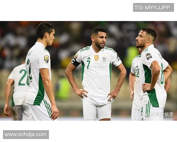 比利时与科特迪瓦对决前瞻分析及比赛结果预测