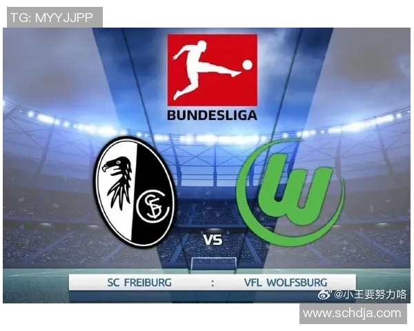 沃尔夫斯堡反击不倒翁,德甲保级前景看好 沃尔夫斯堡反击不倒翁,德甲保级前景看好