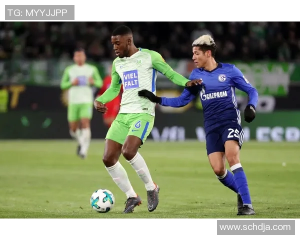 亚琛主场胜沙尔克04,德甲保级形势日益严峻 亚琛主场胜沙尔克04,德甲保级形势日益严峻