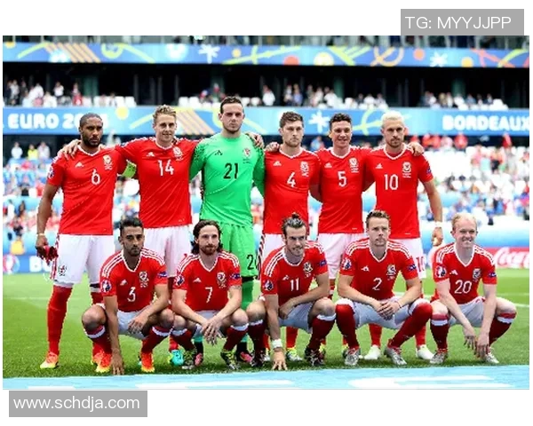 欧洲杯:威尔士队遗憾出局,满腔热血铸就绿茵传奇 欧洲杯:威尔士队遗憾出局,满腔热血铸就绿茵传奇