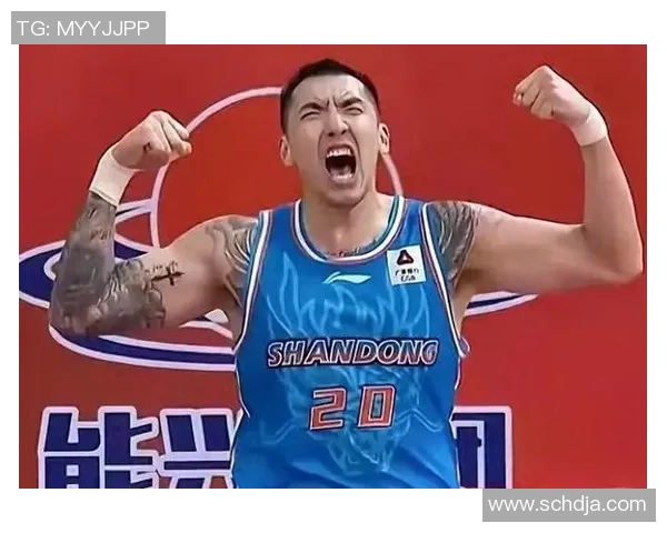 陶汉林:从篮球新星到职业生涯巅峰的奋斗与坚持之路 陶汉林:从篮球新星到职业生涯巅峰的奋斗与坚持之路