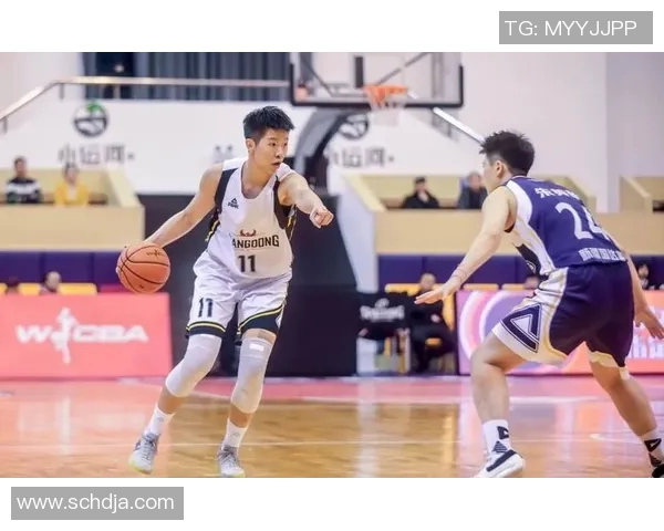 广东与新疆篮球对决历史战绩回顾及分析 广东与新疆篮球对决历史战绩回顾及分析