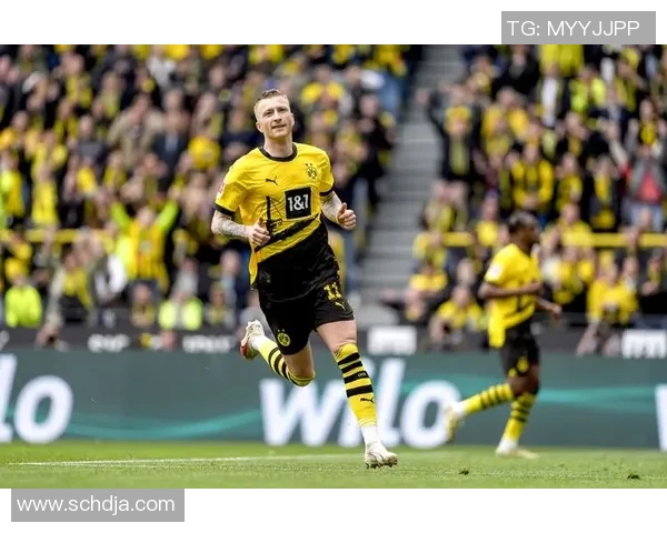 首尔SK骑士对阵迅雷的精彩对决引发球迷热议与期待 首尔SK骑士对阵迅雷的精彩对决引发球迷热议与期待